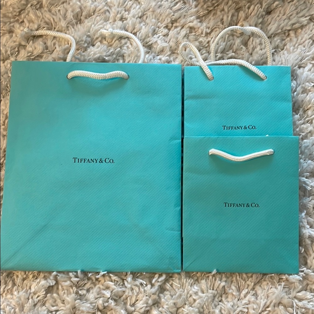 Tiffany & Co. Iconic Blue Shopping Bags